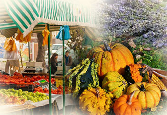 Les marchés de Provence marches